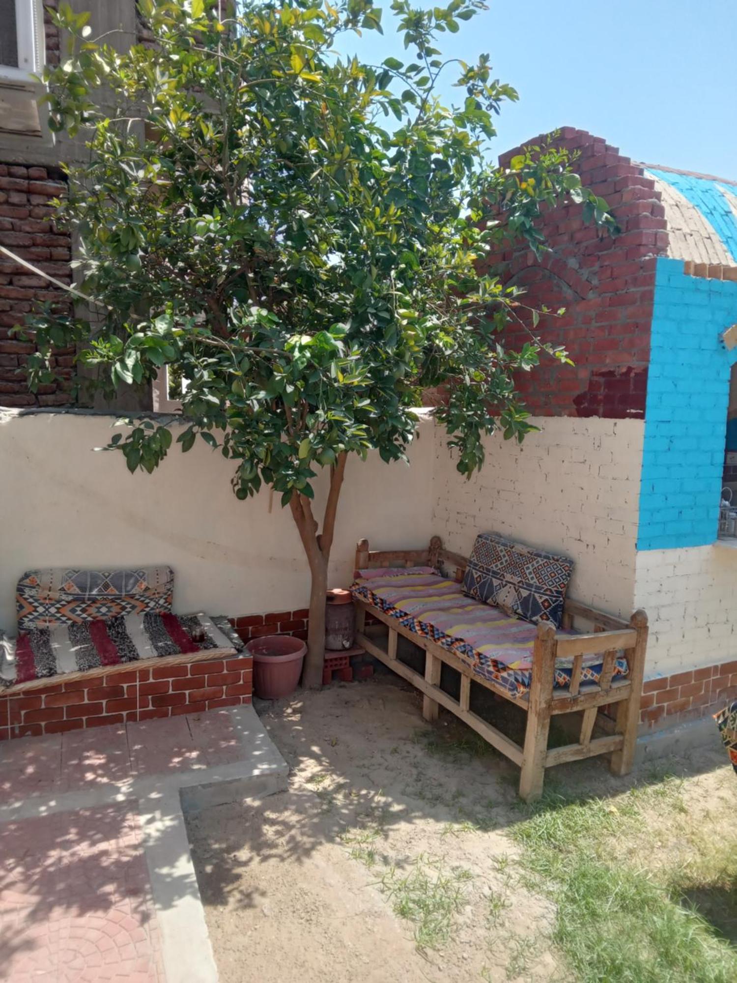 לוקסור Golden Palace Garden מראה חיצוני תמונה